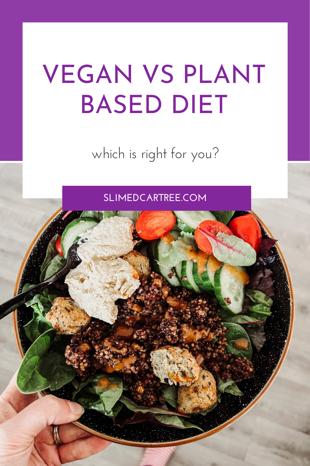 text says 'vegan vs plant-based diet