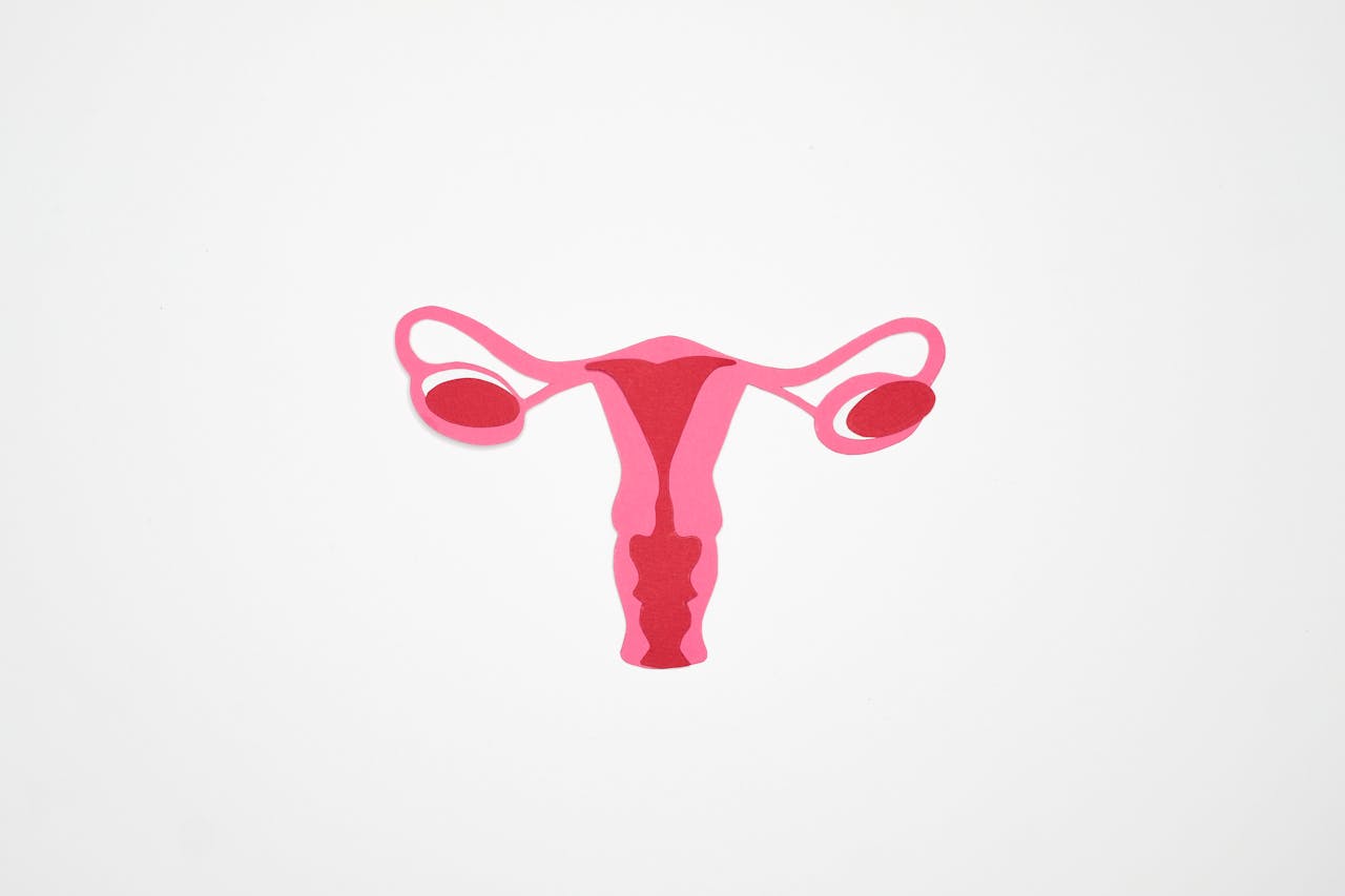 Pelvic Floor Recovery: Why It Matters for Every New Mum